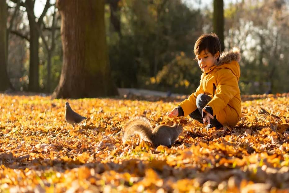 Montessori materials