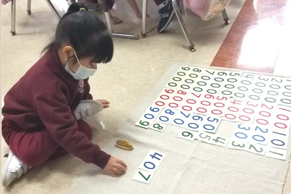 蒙特梭利教室的领域